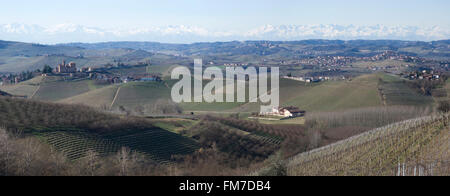Agrarlandschaft auf den Hügeln der Langhe im Piemont, Norditalien Stockfoto