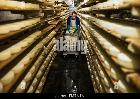 Frankreich, Savoyen, Plancherine, Bauges Bergkette, Zisterzienser Kloster Notre Dame de Tamie, Reifung von Käse Stockfoto