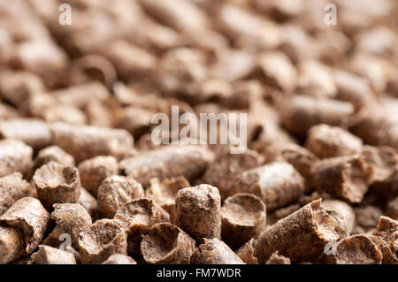 Nahaufnahme Bild von Holzpellets Stockfoto