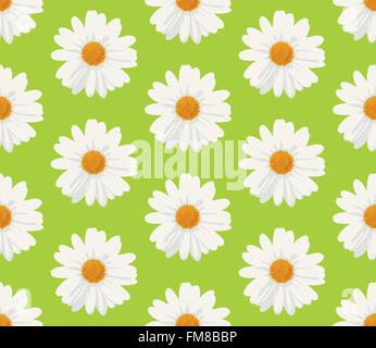 Nahtlose Muster mit Marguerite Daisy Blumen auf grünem Hintergrund Stock Vektor