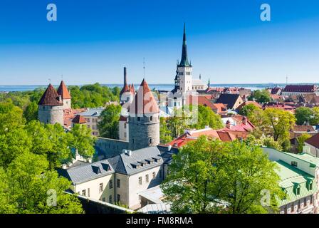 Tallinn, Estland (Baltikum), Altstadt, Weltkulturerbe von UNESCO, Ansicht von Tallinn aus Domberg und Turm der St. Olavs Kirche Stockfoto