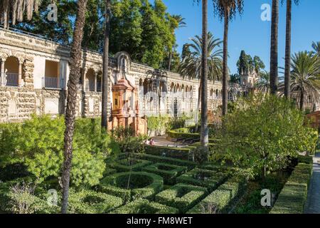 Spanien, Andalusien, Sevilla, Santa Cruz Viertel, Real Alcazar, Weltkulturerbe der UNESCO, die Gärten und die Galerie der Groteske Stockfoto