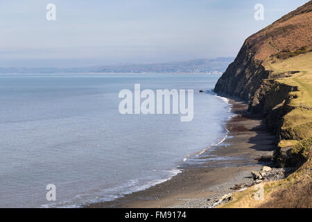 Ceredigion Coast Path wending seinen Weg zwischen Aberystwyth und Borth, in der Nähe von Wallog. Stockfoto