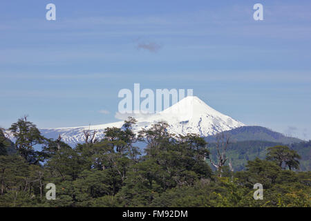 Valdivianischen Regenwald (Nationalpark Huerquehue) und Vulkan Villarrica, Patagonien, Chile Stockfoto