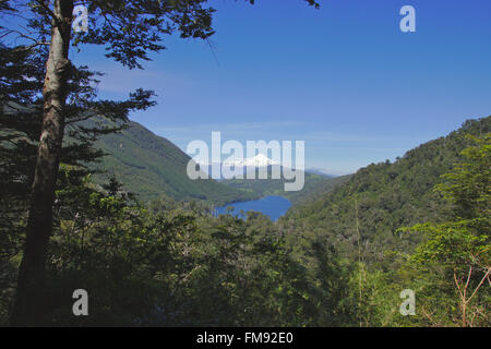 Blick vom Nationalpark Huerquehue über Lago Tinquilco und valdivianischen Wald auf den Vulkan Villarrica. Patagonien, Chile Stockfoto