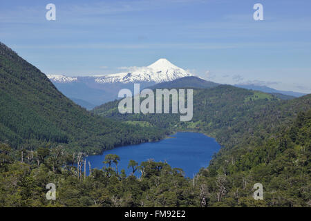 Blick vom Nationalpark Huerquehue über Lago Tinquilco und valdivianischen Wald auf den Vulkan Villarrica. Patagonien, Chile Stockfoto