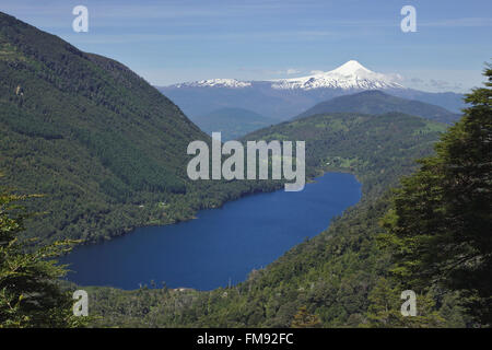 Blick vom Nationalpark Huerquehue über Lago Tinquilco und valdivianischen Wald auf den Vulkan Villarrica. Patagonien, Chile Stockfoto