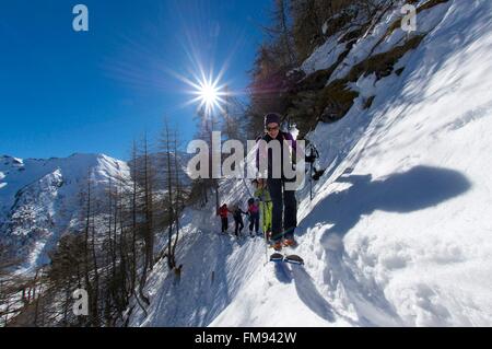 Gruppe von Skifahrern Wandern Betrag gegenüber dem Praroussin 2675m Gipfel über den Colle Lacroix, Val Pellice, Piemont, Italien Stockfoto