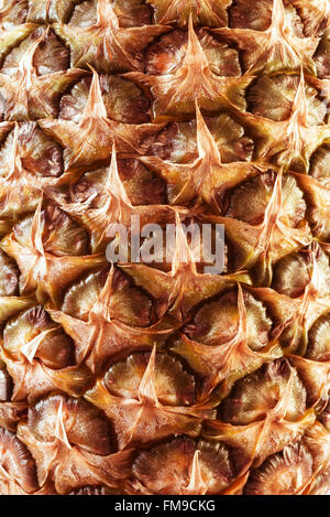 Nahaufnahme von reifer Ananas braune Haut, Natur Konzept Textur Hintergrund. Stockfoto