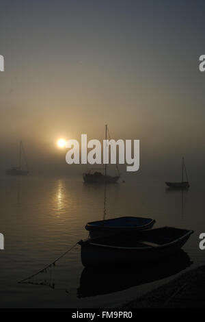 Herbst Morgennebel am River Deben Stockfoto