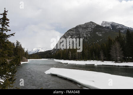 Eine Landschaftsansicht des Bow River an Überraschung Ecke an Banff in den Banff Nationalpark Kanada Stockfoto
