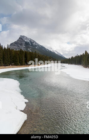 Eine Landschaftsansicht des Bow River an Überraschung Ecke an Banff in den Banff Nationalpark Kanada Stockfoto