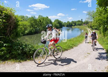 Frankreich, Somme, Abbeville, Fahrrad fahren auf die Treidelpfade entlang der Somme Kanal Stockfoto