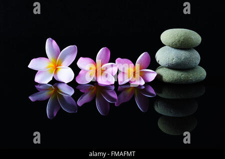 Wellness-, Beauty- und Wellness-Konzept - Zen Steinen und Frangipani Blüten und Reflexion mit dunklem Hintergrund gestapelt. Stockfoto