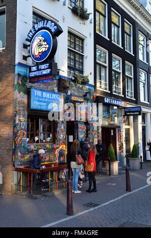 Niederlande, Nord-Holland, Amsterdam, Red Light District, Oudezijds Voorburgwal Kanal, Coffee-Shop The Bulldog Stockfoto