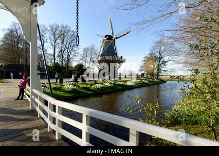 Niederlande, Provinz Süd-Holland, Lisse, floral Park von Keukenhof Stockfoto