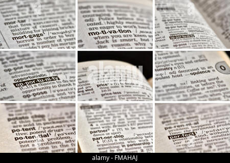 Business Finance Wörter im Wörterbuch. Stockfoto