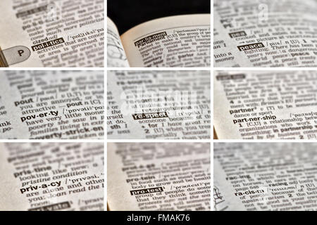 Politik-Wörter im Wörterbuch Stockfoto