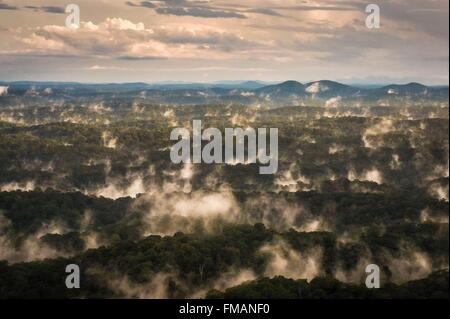 Frankreich, Guyana, Französisch-Guyana Amazonas Park, Herzgegend, Nebel am Abend im Amazonas-Regenwald Stockfoto