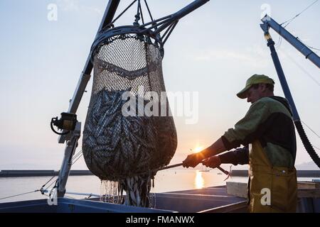 Frankreich, net-Finistere, Douarnenez, Lebensphasen, marine entladen eine volle Angeln Stockfoto