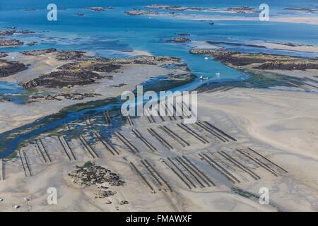 Frankreich, Manche, Chausey Inseln, Muschel-Farmen (Luftbild) Stockfoto