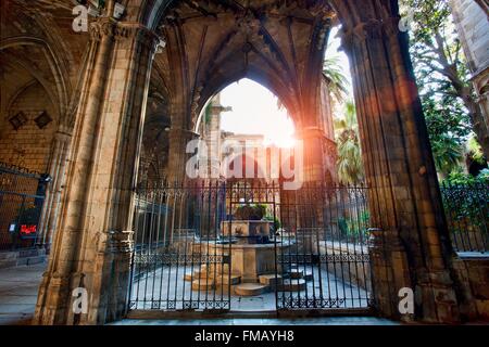 Spanien, Katalonien, Barcelona, der Kathedrale von Barcelona Stockfoto