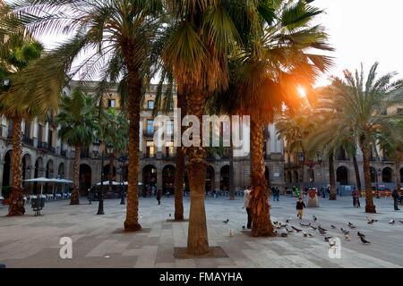 Spanien, Katalonien, Barcelona, Placa Reial Stockfoto