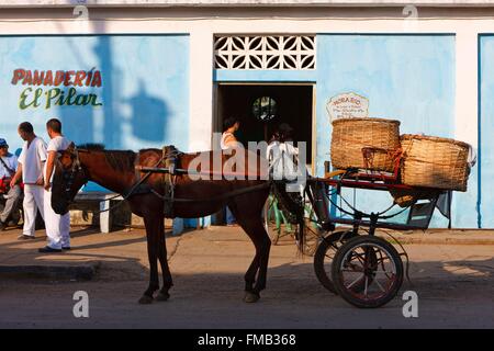 Kuba, Pinar del Rio, Vinales, Pferdefuhrwerk vor einer Bäckerei Stockfoto