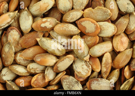 Essen-Hintergrund - große geschälte geröstete Kürbiskernen Stockfoto