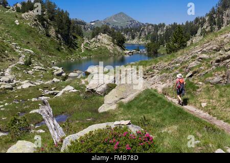 Spanien, Katalonien, Val d ' Aran, Salardu, Tredos, Nationalpark Aigües Tortes Colomers Cirque, Wanderer auf dem Weg der GR11 Stockfoto