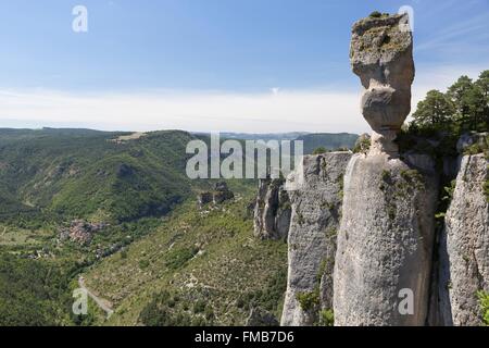 Frankreich, Lozere, Le Rozier, Jonte Schluchten, die Causse méjean Klettern Klippen und das Dorf Peyreleau, die Causses und die Stockfoto