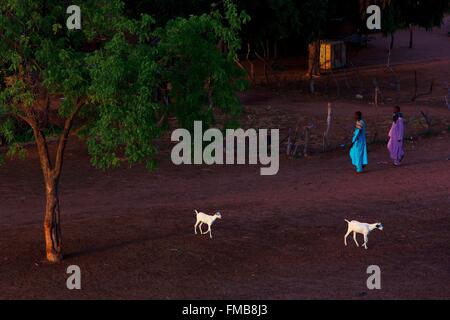 Senegal, Sahel, Ferlo Region, Widou Thiengoly, Hof Stockfoto