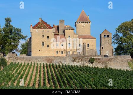 Frankreich, Saone et Loire, Pierreclos, das Schloss Stockfoto