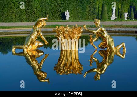 Frankreich, Yvelines, Versailles, aufgeführt von der UNESCO, der Eidechsen-Pool als World Heritage Park von Versailles-Palast Stockfoto