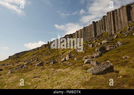 Island, Snaefellsnes Halbinsel, Gerduberg Bereich, Wand Basaltsäulen Stockfoto