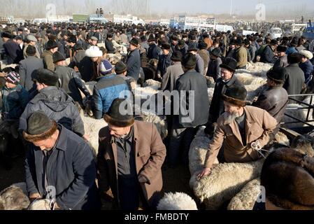 China Xinjiang Uyghur autonome Region, Kashgar (Kashi), Sonntag Viehmarkt Stockfoto