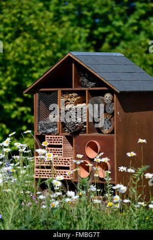 Frankreich, Vogesen, Saint Die des Vosges, am Straßenrand, Unterschlupf für Insekten Stockfoto