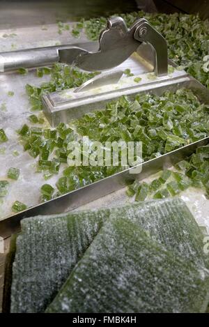 Frankreich, Vogesen, Plainfaing, Confiserie des Hautes Vosges, Süßigkeiten Herstellung, Eukalyptus Aroma schneiden Platten Stockfoto