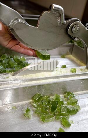 Frankreich, Vogesen, Plainfaing, Confiserie des Hautes Vosges, Süßigkeiten Herstellung, Eukalyptus Aroma schneiden Platten Stockfoto