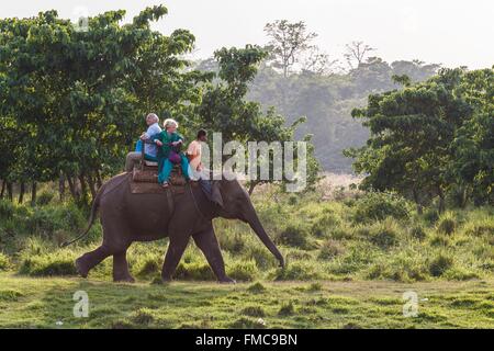 Nepal, Narayani Zone, Sauraha, Chitwan national Park als Weltkulturerbe der UNESCO, Elefantenritt aufgeführt Stockfoto