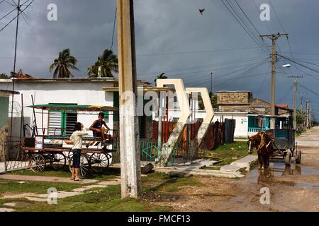 Kuba, Villa Clara, Caibarien, Pferd und Wagen nach dem Durchzug des Sturms Stockfoto