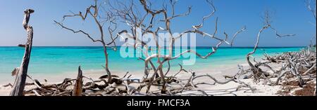 Kuba, Pinar del Rio, Vinales, Cayo Jutias Lagune von weißem Sand und türkisfarbenem Wasser Stockfoto