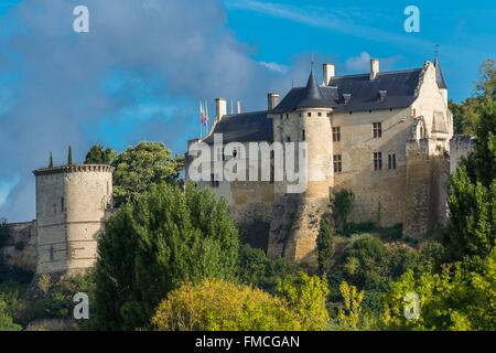 Frankreich, Indre et Loire, Loire-Tal Weltkulturerbe von UNESCO, Chinon, königliche Festung von Chinon Stockfoto
