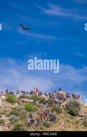 Peru, Provinz von Arequipa, Colca Canyon, Mirador Cruz del Condor (Alt: 3287m), ein beliebtes touristisches Stop die Kondore anzeigen Stockfoto