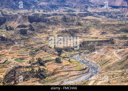 Peru, Provinz von Arequipa, Colca Tal in der Nähe von Chivay Stockfoto