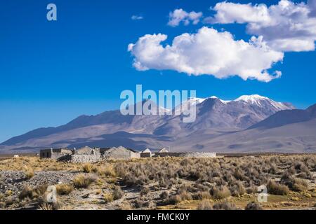 Peru, Puno Provinz, die Straße zwischen Chivay und Puno, Patahuasi Stockfoto