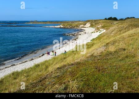 Frankreich, Finistere, Landeda, die Dünen von Sainte Marguerite Stockfoto