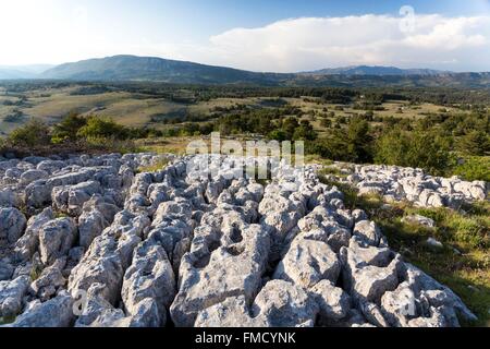 Frankreich, Alpes Maritimes, regionalen natürlichen reserve von Voralpen Azur, Caussols, Chasings von die Lapiaz infolge der Stockfoto