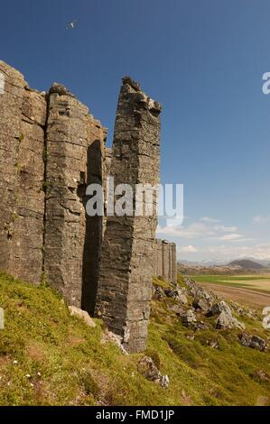 Island, Snaefellsnes Halbinsel, Gerduberg Bereich, Wand Basaltsäulen Stockfoto