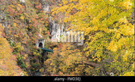 Die Naruko Schlucht Blätter im Herbst in die Herbstsaison, Japan Stockfoto